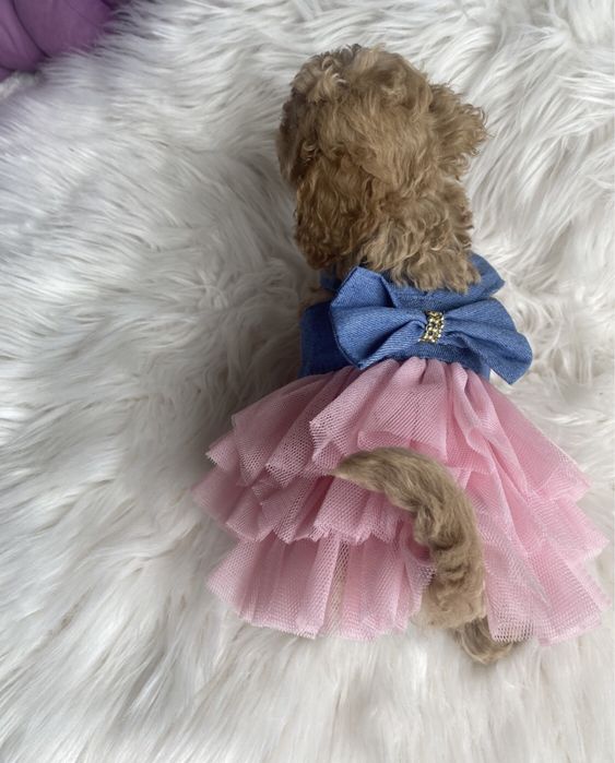 Мальтіпу ф1