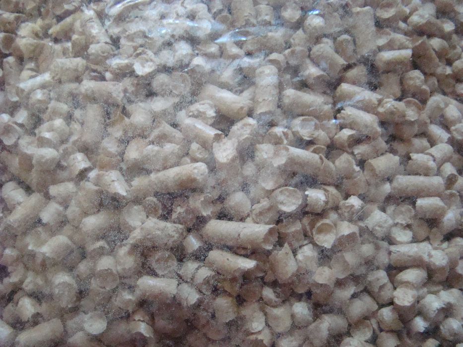 Супергранули, деревна підстилка Тортила