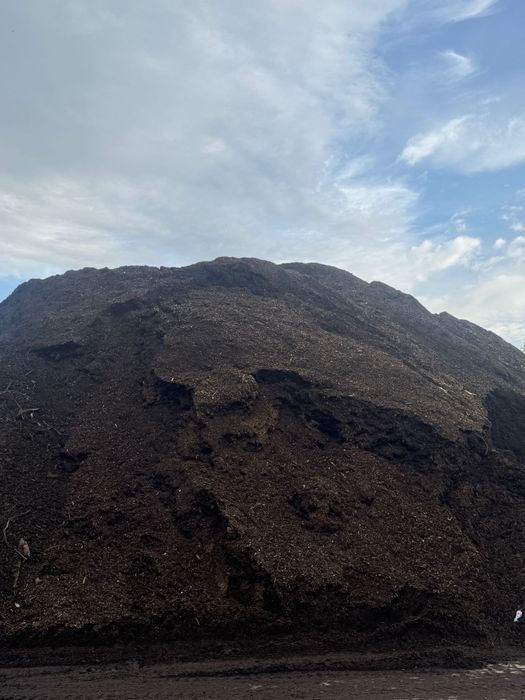 Substrato natural para plantas