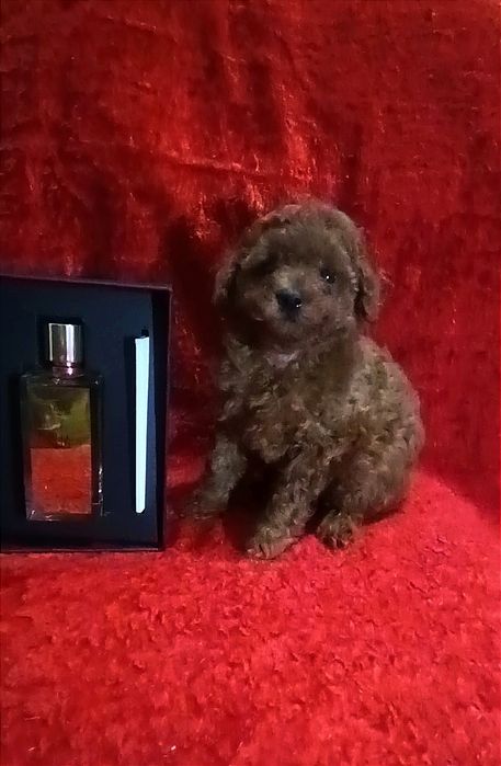 Мега крутая микро девочка