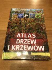 ,Atlas drzew i krzewów’ Aleksandra Halarewicz