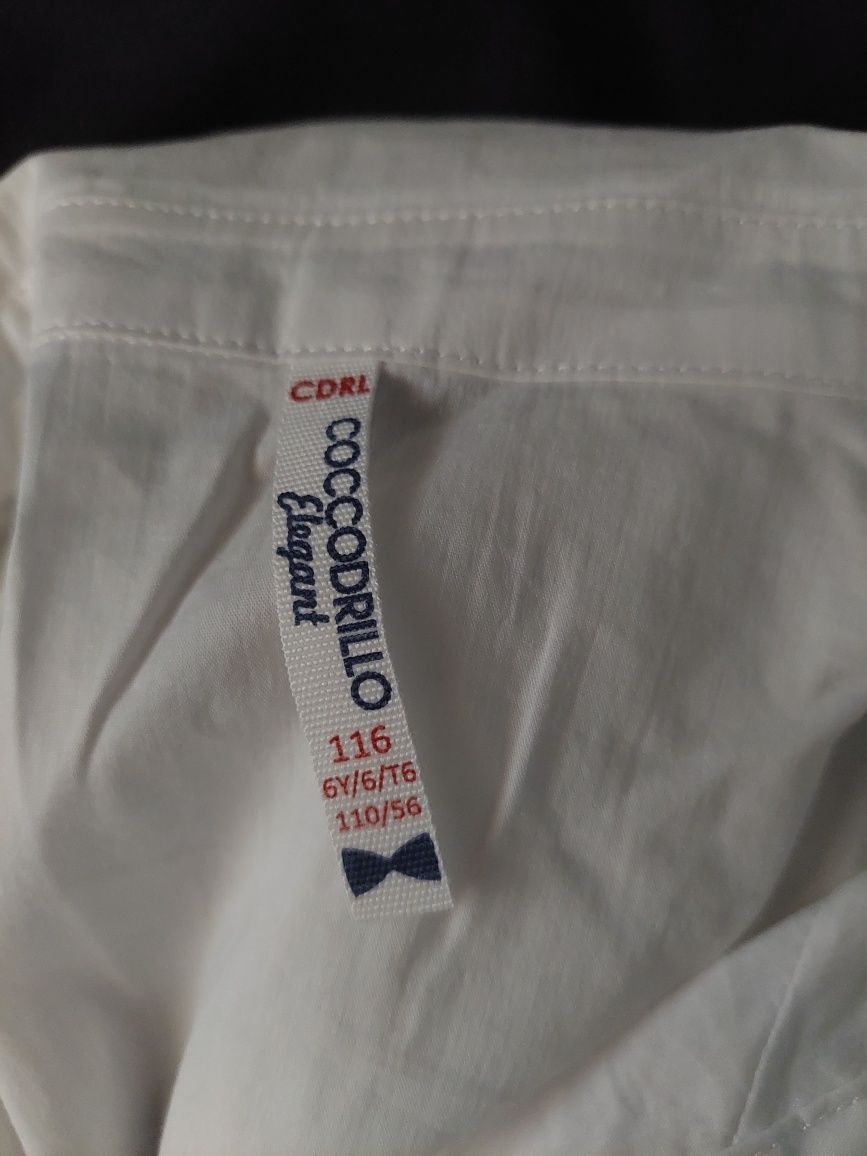 Coccodrillo Elegant strój galowy 116