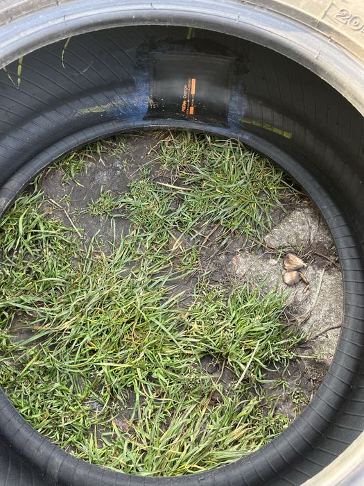 Зимові шини 205/55/R16 продається комплектом