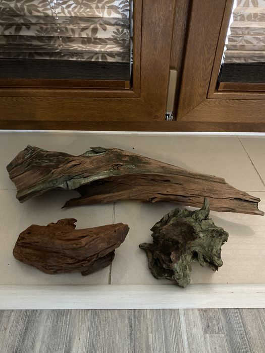 Drzewo mangrowe do akwarium - 3 szt