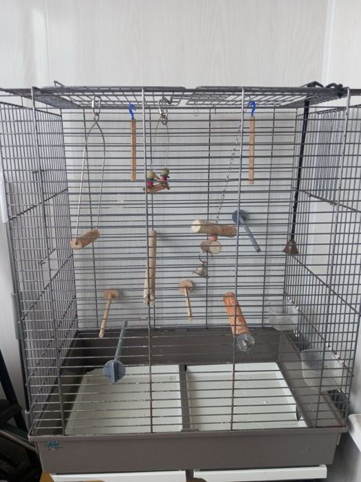 Б/у клетка для крупных попугаев