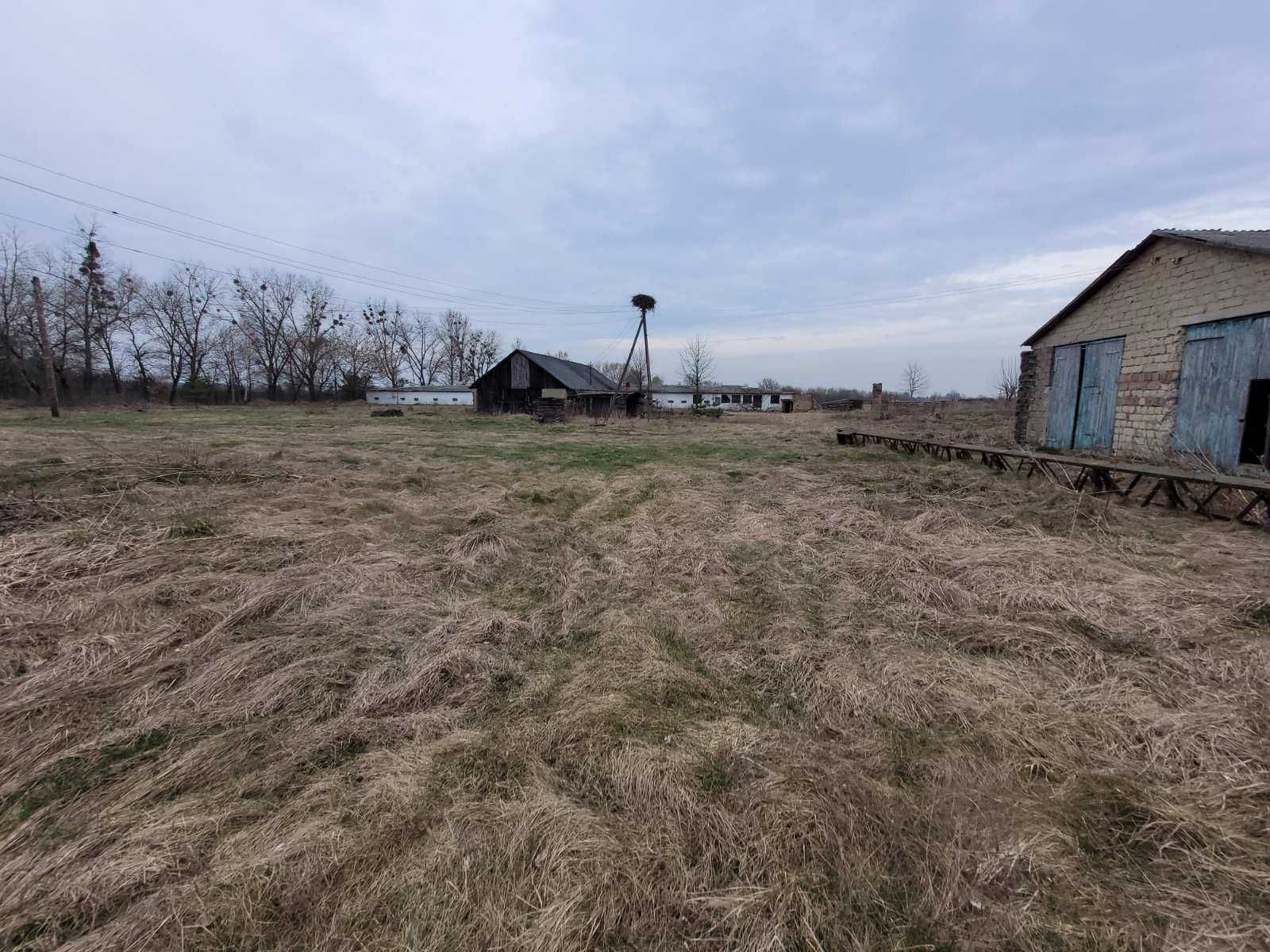 Комплекс нежитлових приміщень, с. Кунин