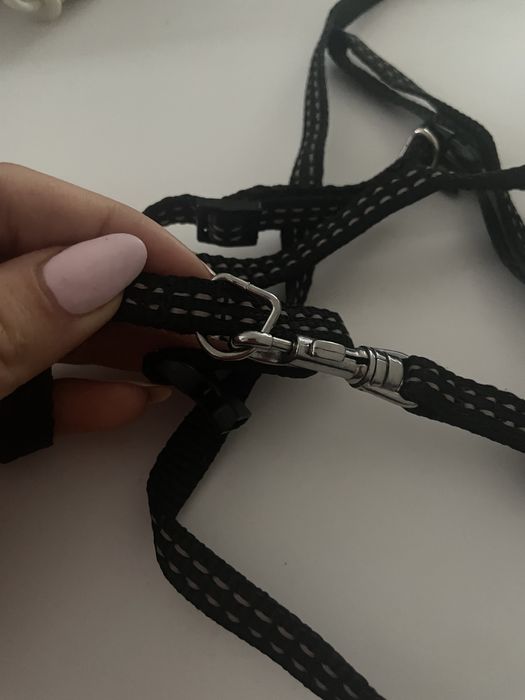 Szelki ze smyczem dla kota/małego szczeniaka