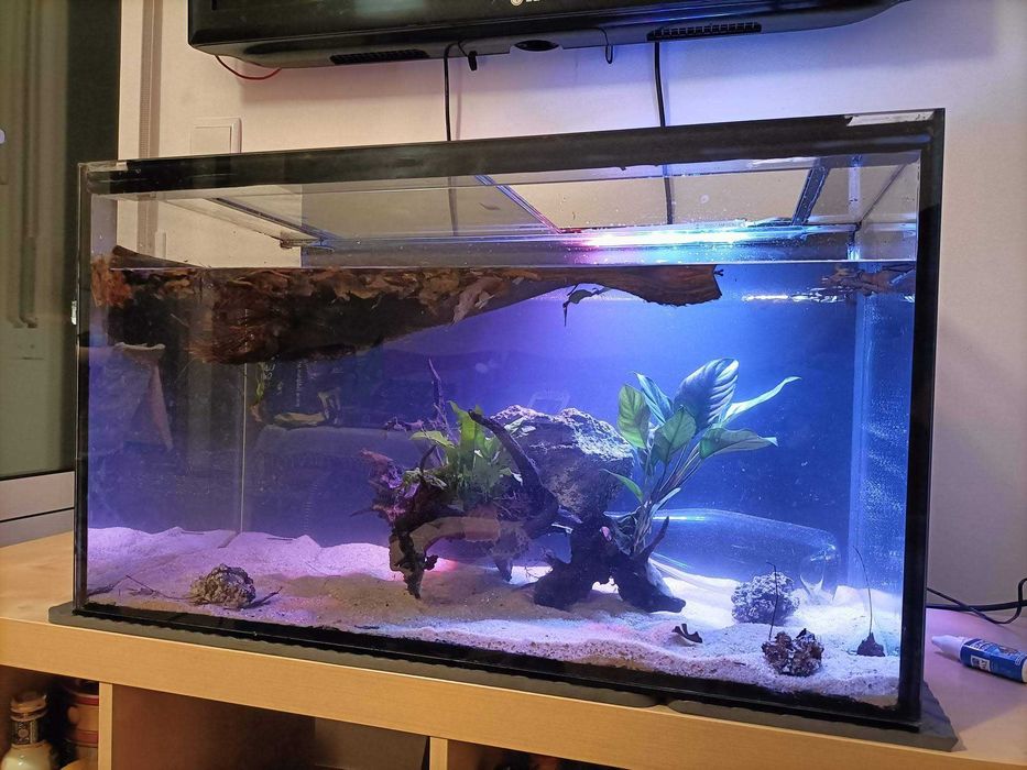 Aquário 144L Equipado e Pronto a Usar + Oferta de Dicas