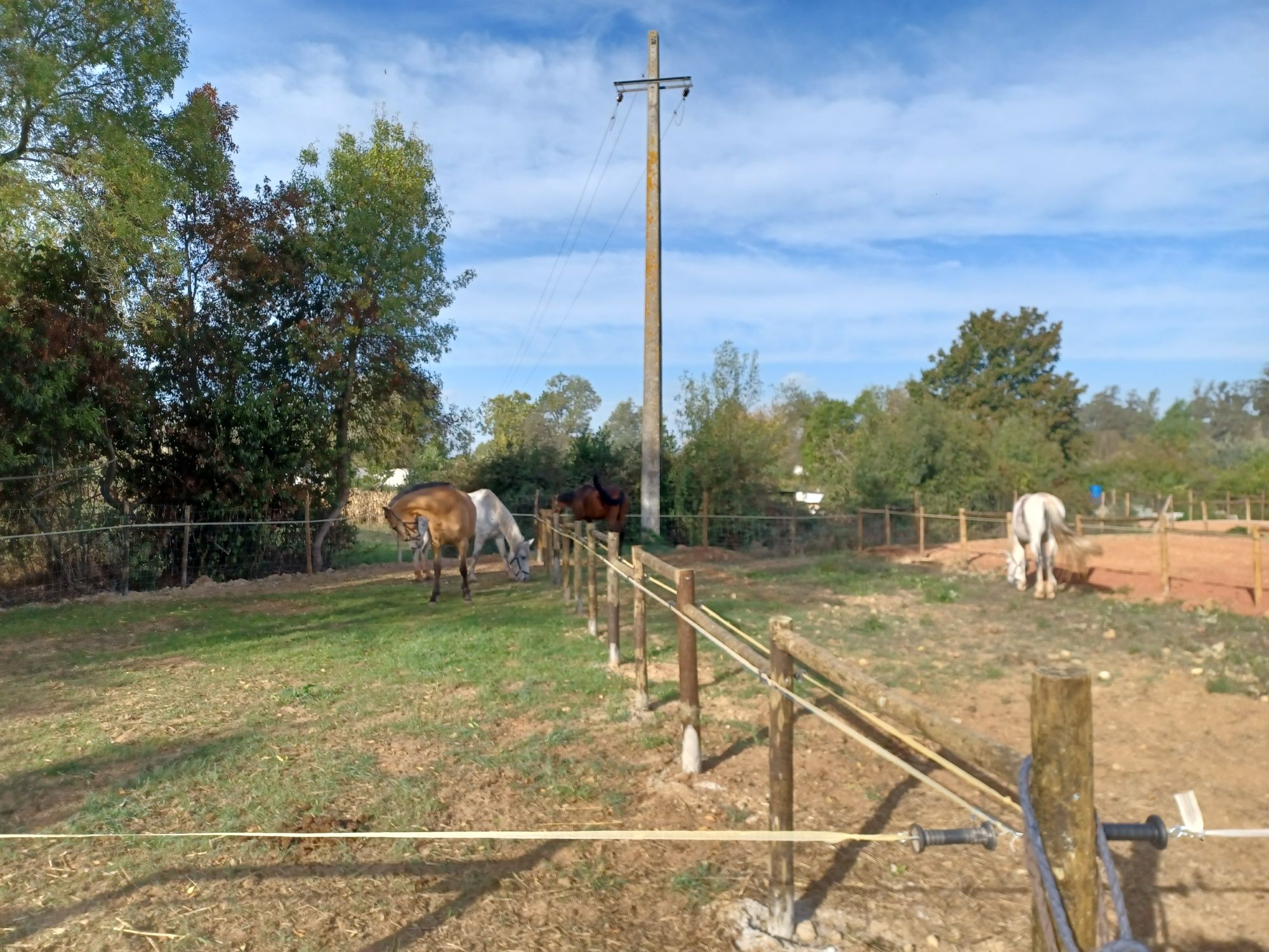 Terreno com 5.000m2 dentro da cidade de Coimbra