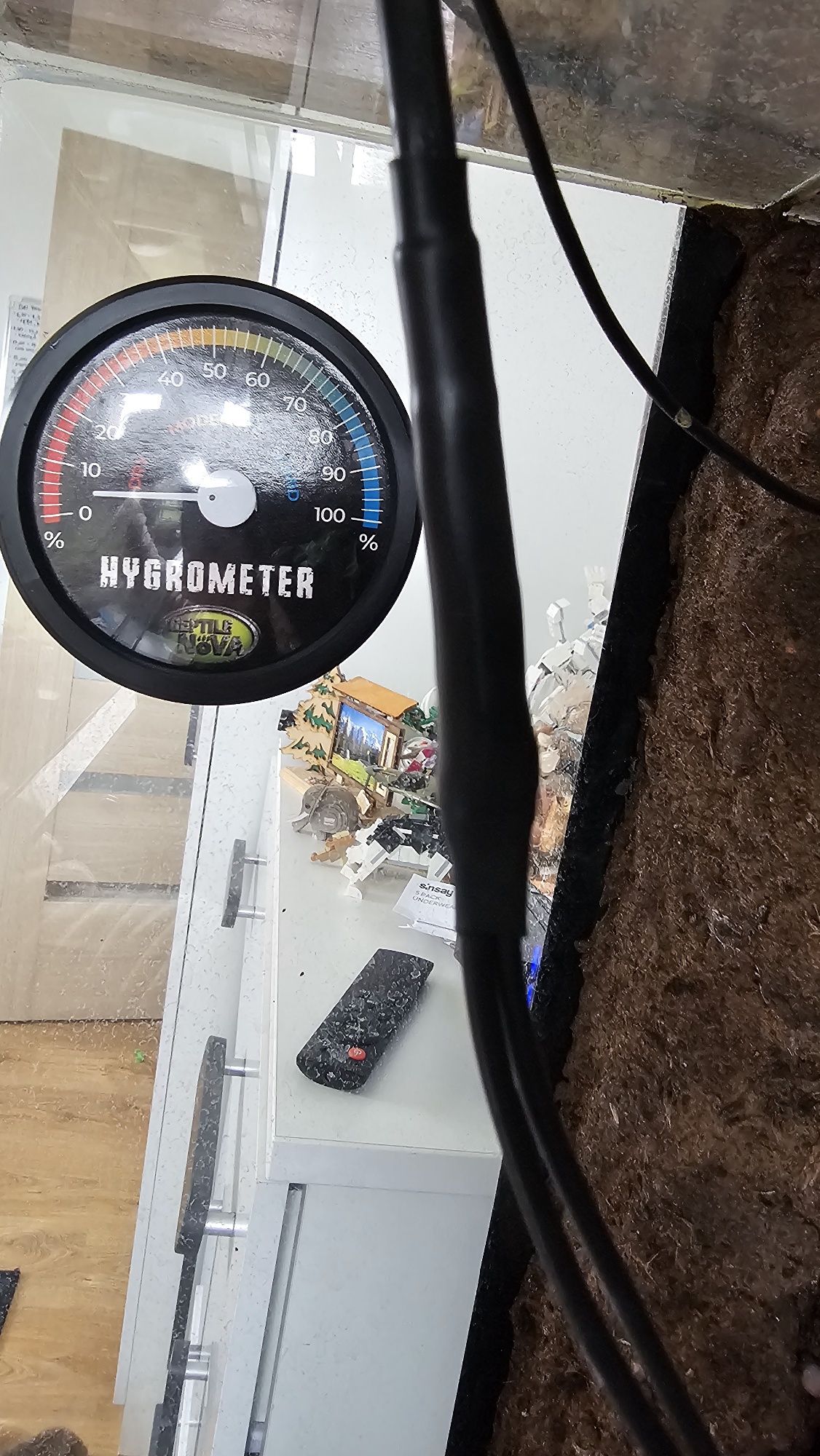 Ogromne terrarium dla kameleona, gady, super zestaw.