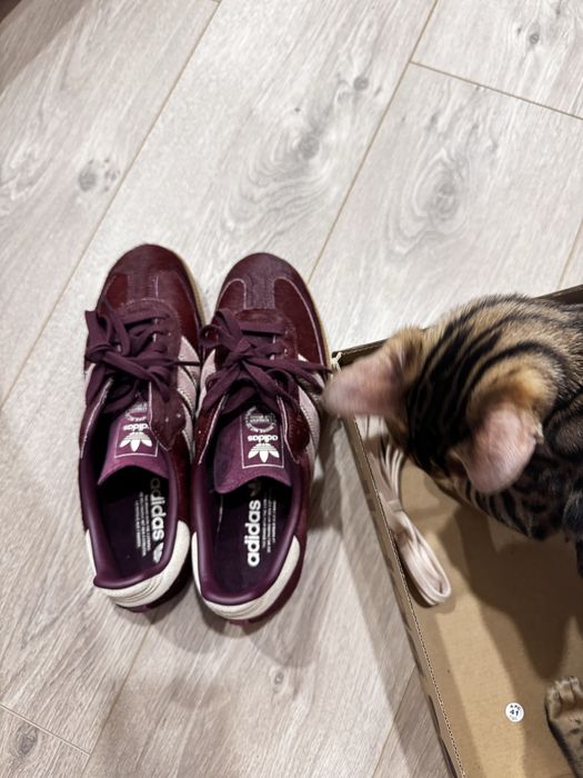 Кеди adidas бордові
