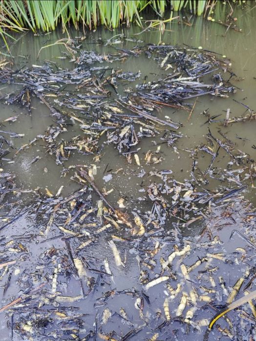 Землесос Погружний Фрезерний Краб HZ – 200