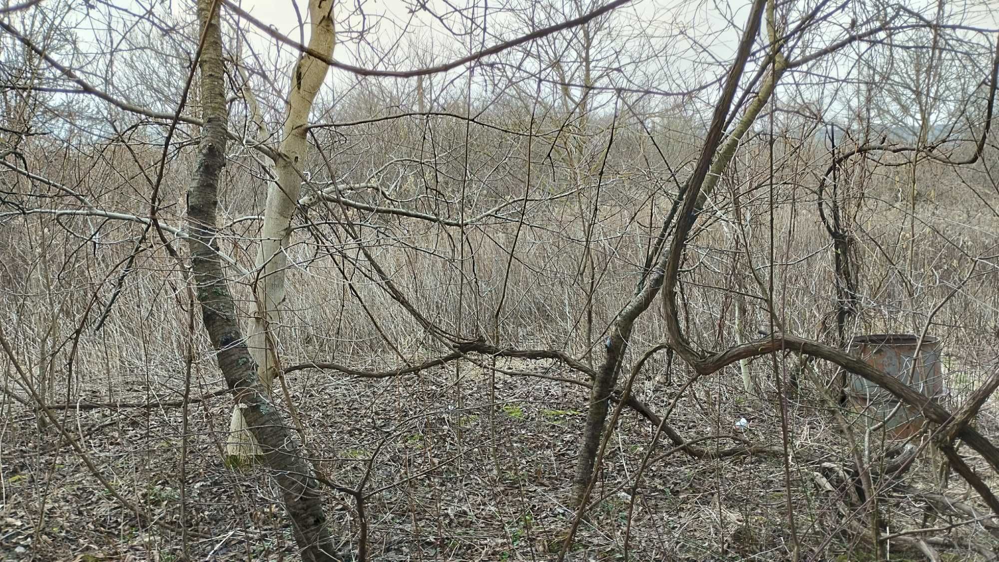 Дача у селі Збиранка.В садівничому товаристві "Урожай"