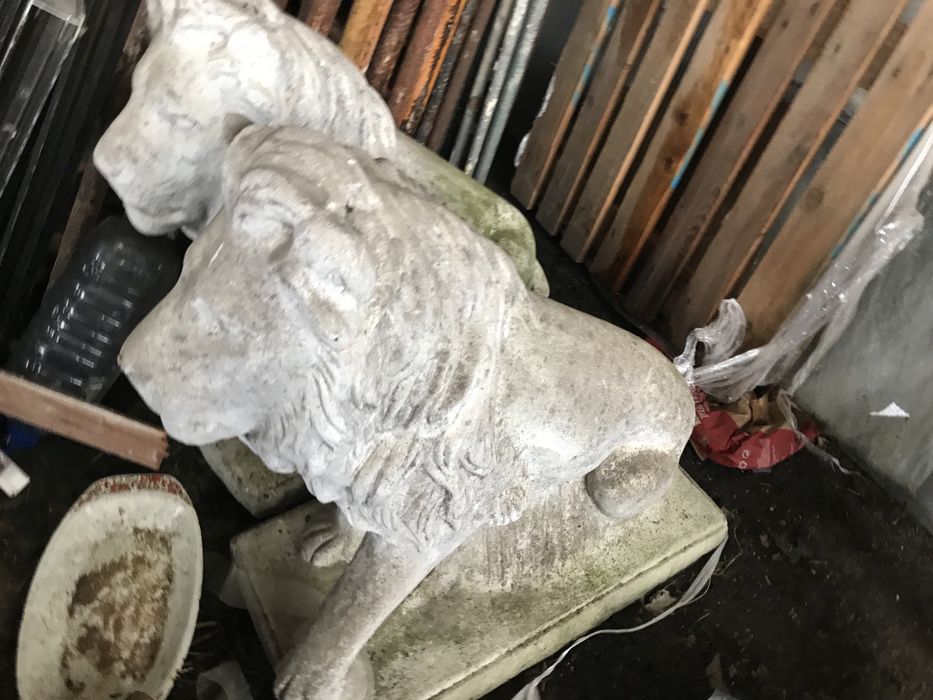 Leao cimento estatua