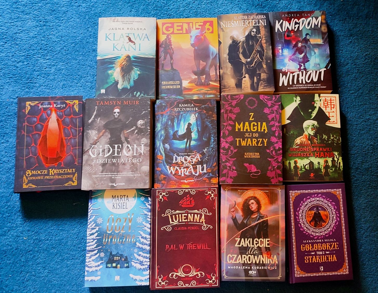 Zestaw 13 książek fantasy Smocze Kryształy Luienna Gołoborze Gideon