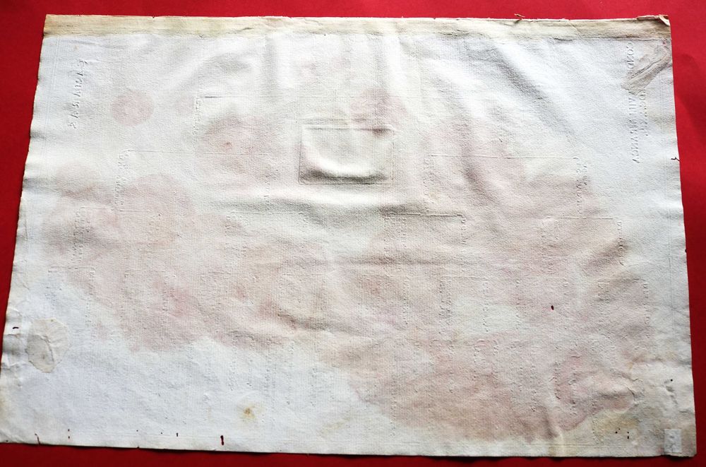 Camaras, Condes de Vila Franca (Ribeira Grande) árvore costados 1623