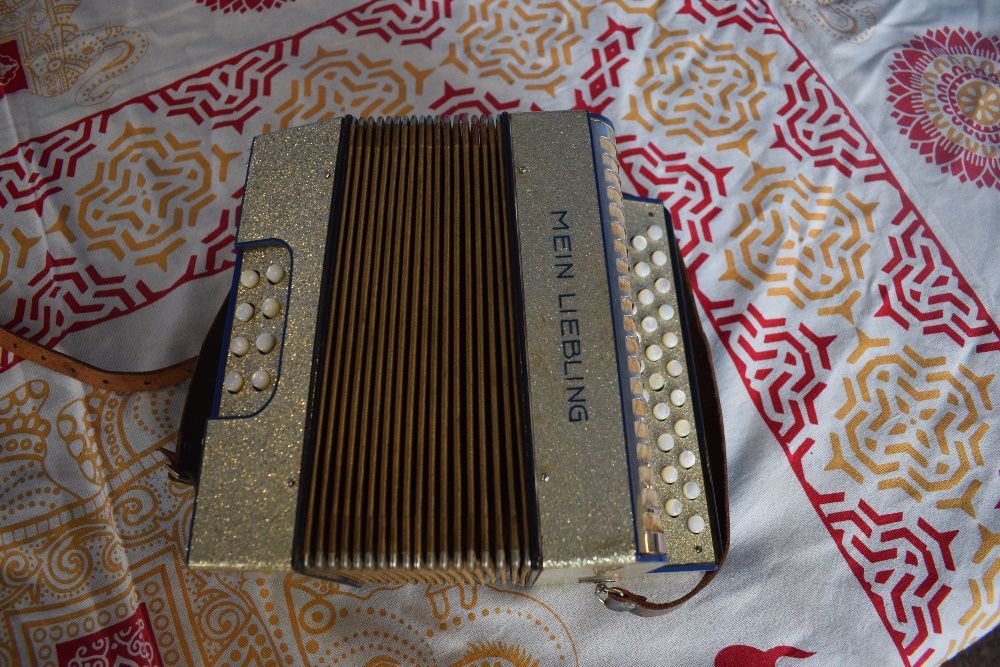 Vendo Mini Concertina Mein Liebling