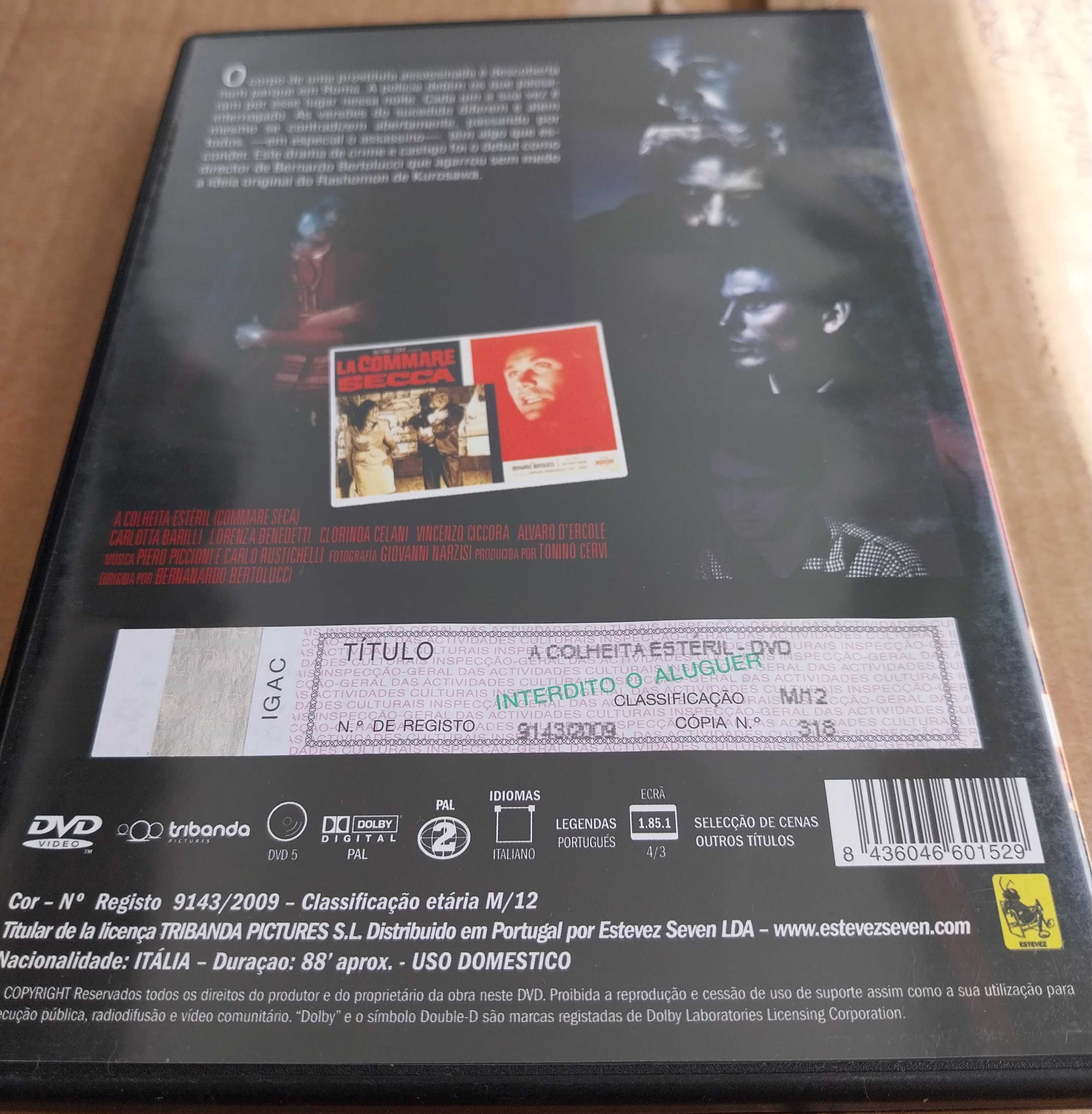 DVD “A colheita estéril”, de Bernardo Bertolucci