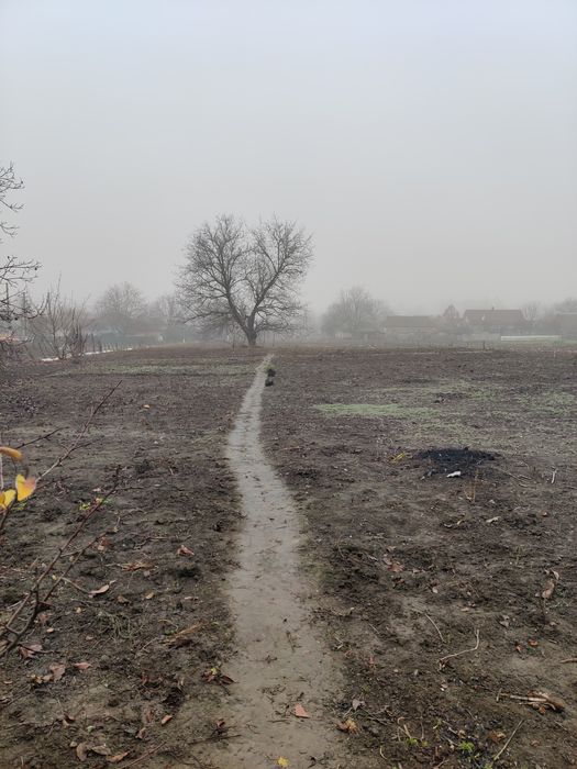 Будинок  в селі Оляниця