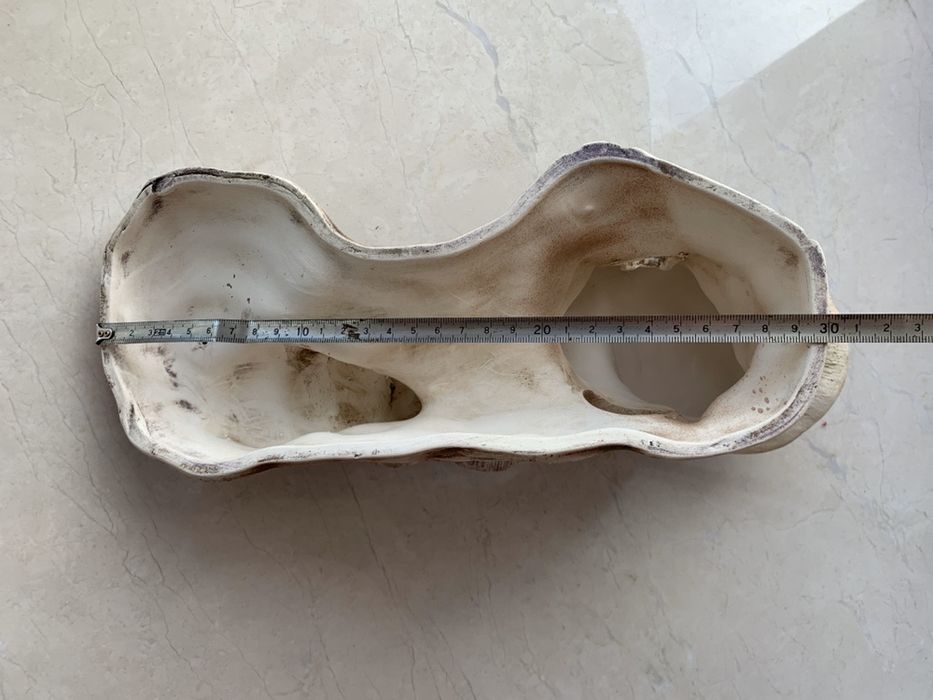 Остров-грот для рептилий