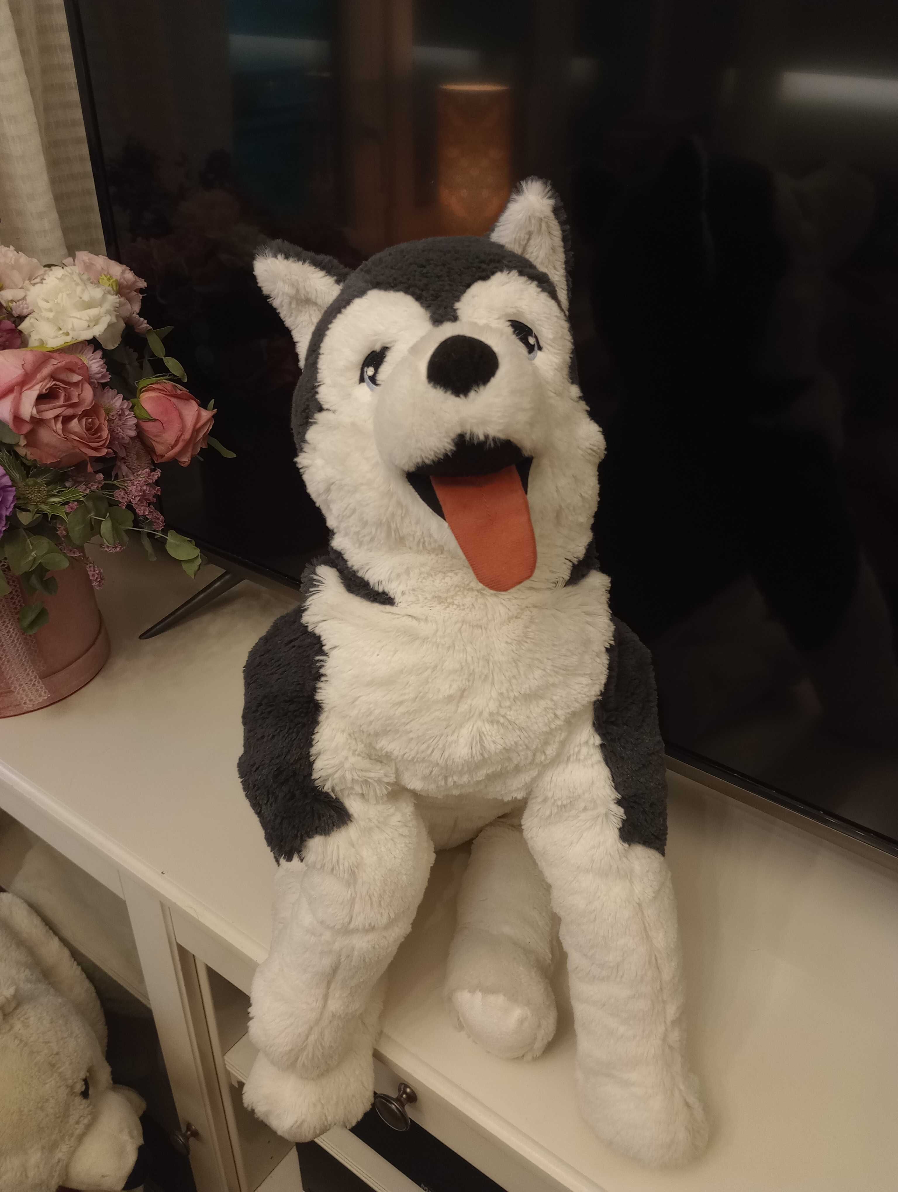 IKEA husky pluszak maskotka nowy gigant