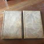 L'Idiot de Th. Dostoievsky (francês)