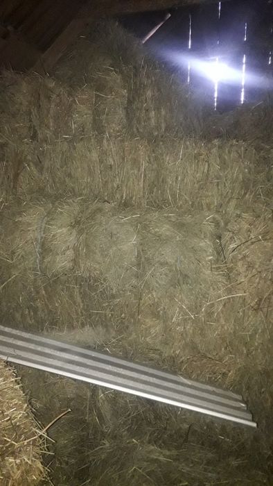 Продам сіно в тюках