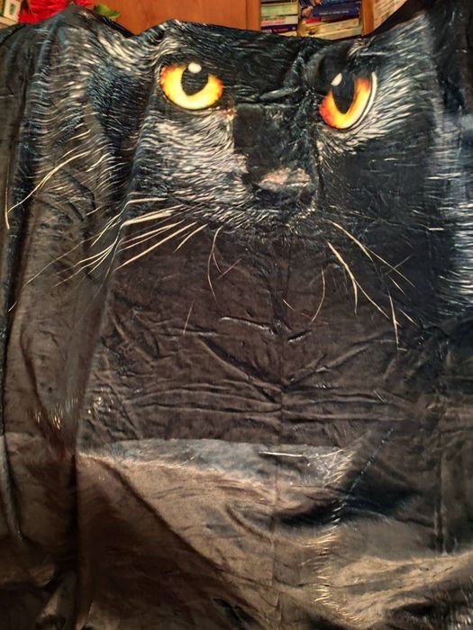 Одеяло плед мягкий 2м чёрная кошка кот