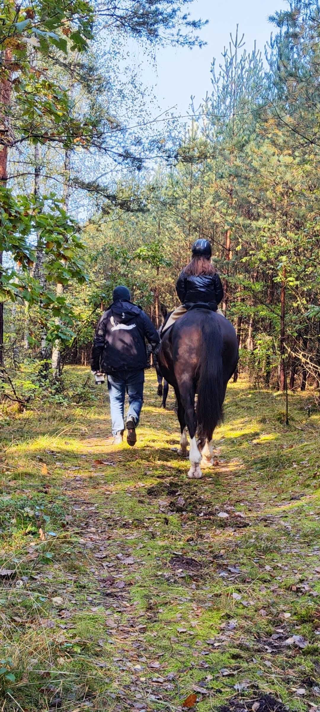 Nauka Jazdy Konnej / oprowadzanki na kucyku dla najmlodszych