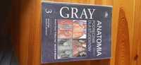 Anatomia Gray tom 3 wydIV: GiS i Neuroanatomia