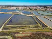 Arrenda Terreno de marinha com 13.600m2, bons acessos, nas  Praias do