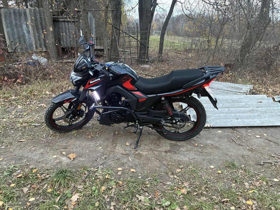 Musstang Region mt250