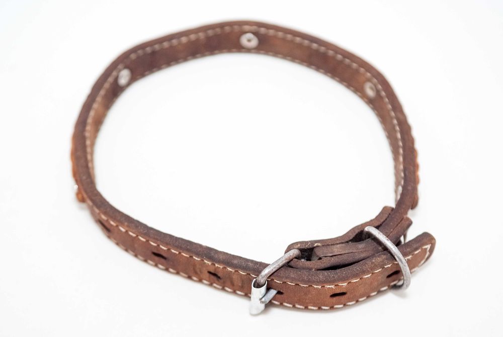 ошейник и поводки