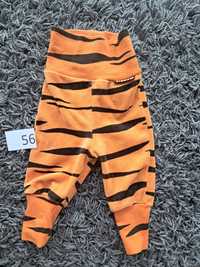 Spodnie niemowlęce tygrysek długie H&M