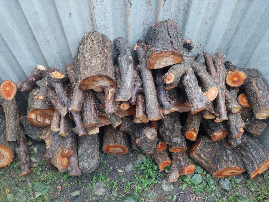 Дрова фруктовые, абрикос