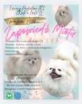 Pomeranian Szpic Miniaturowy ZKwP FCI