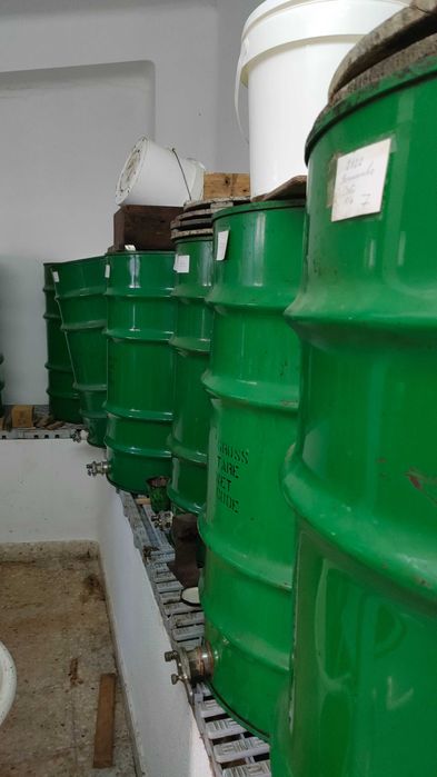 Mel de Eucalipto, Rosmaninho e Tomilho, diretamente do apicultor