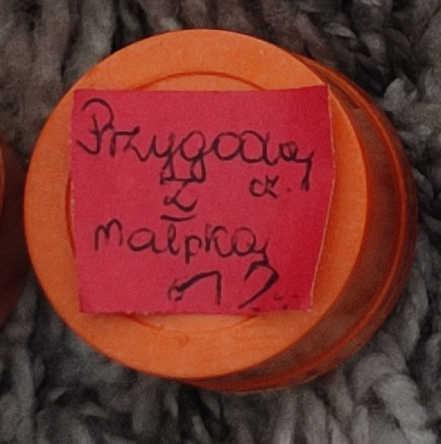 Bajka na rzutnik diaskop Ania "Przygoda z małpką" cz. 1