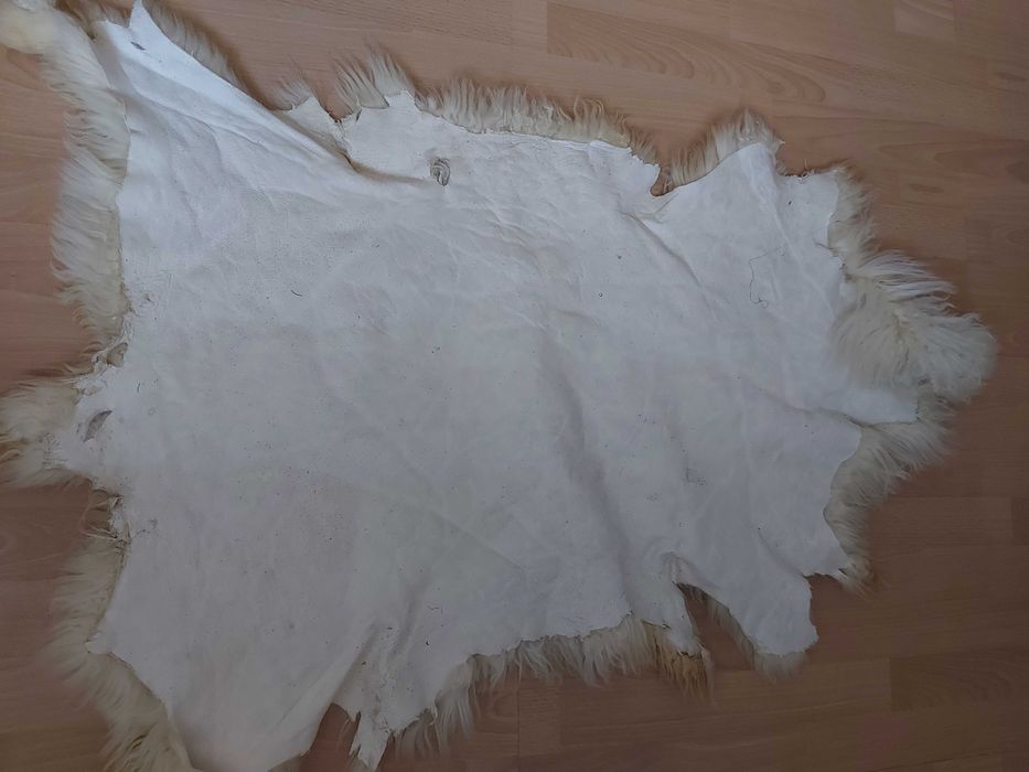 Skóra owcza biała