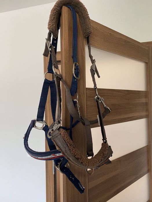 Zestaw kantarow Eskadron