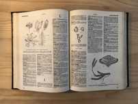 Dicionário Enciclopédia  com ilustrações desenhadas