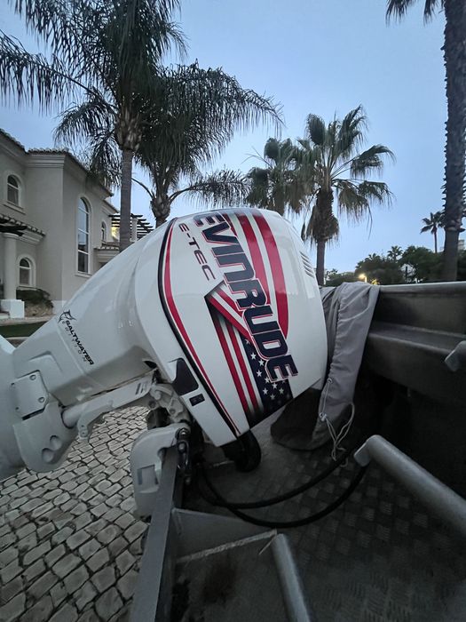 Motor fora de bordo Evinrude Etec 250