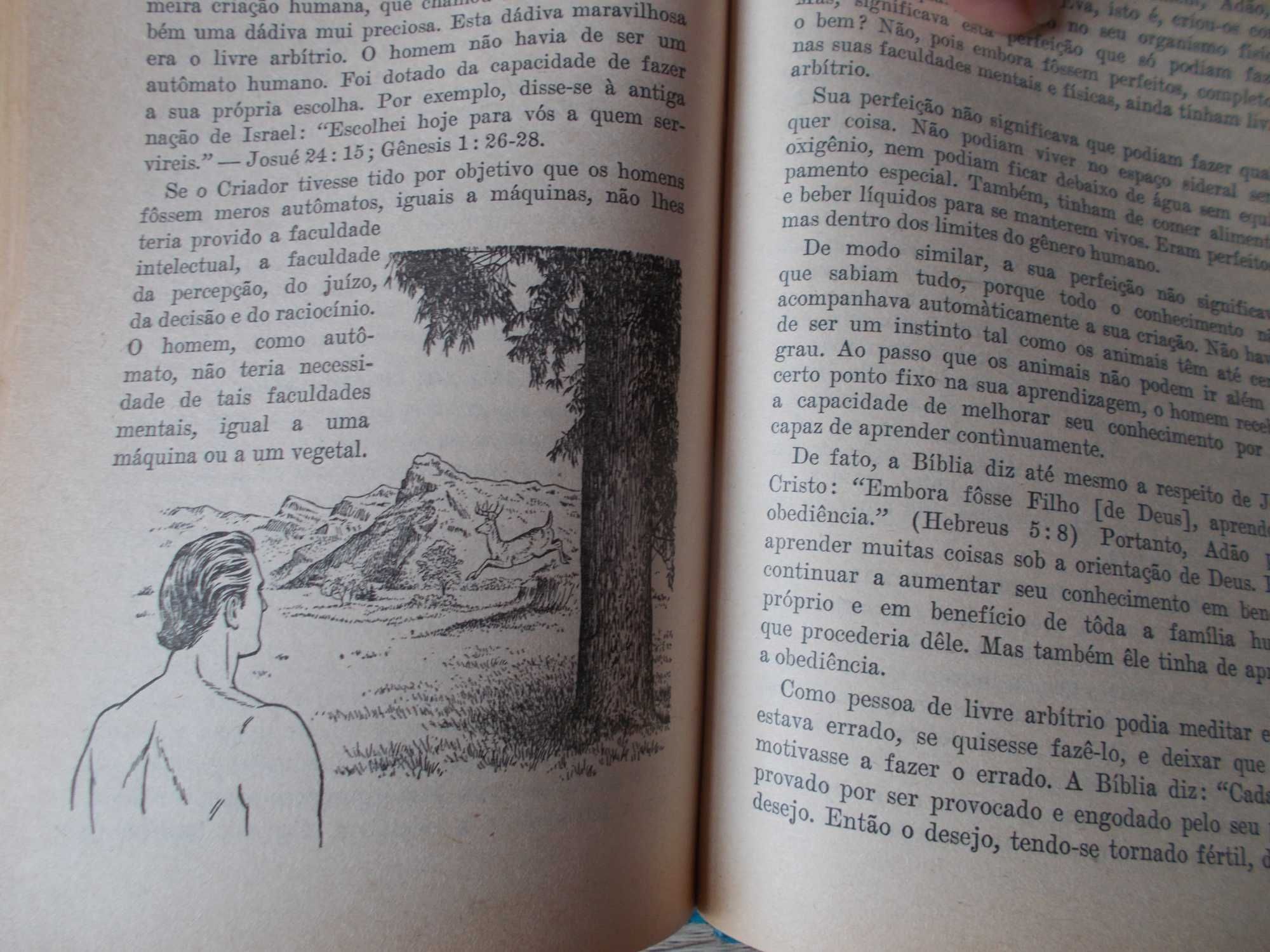 veio o homem a existir por evolução ou por criação?