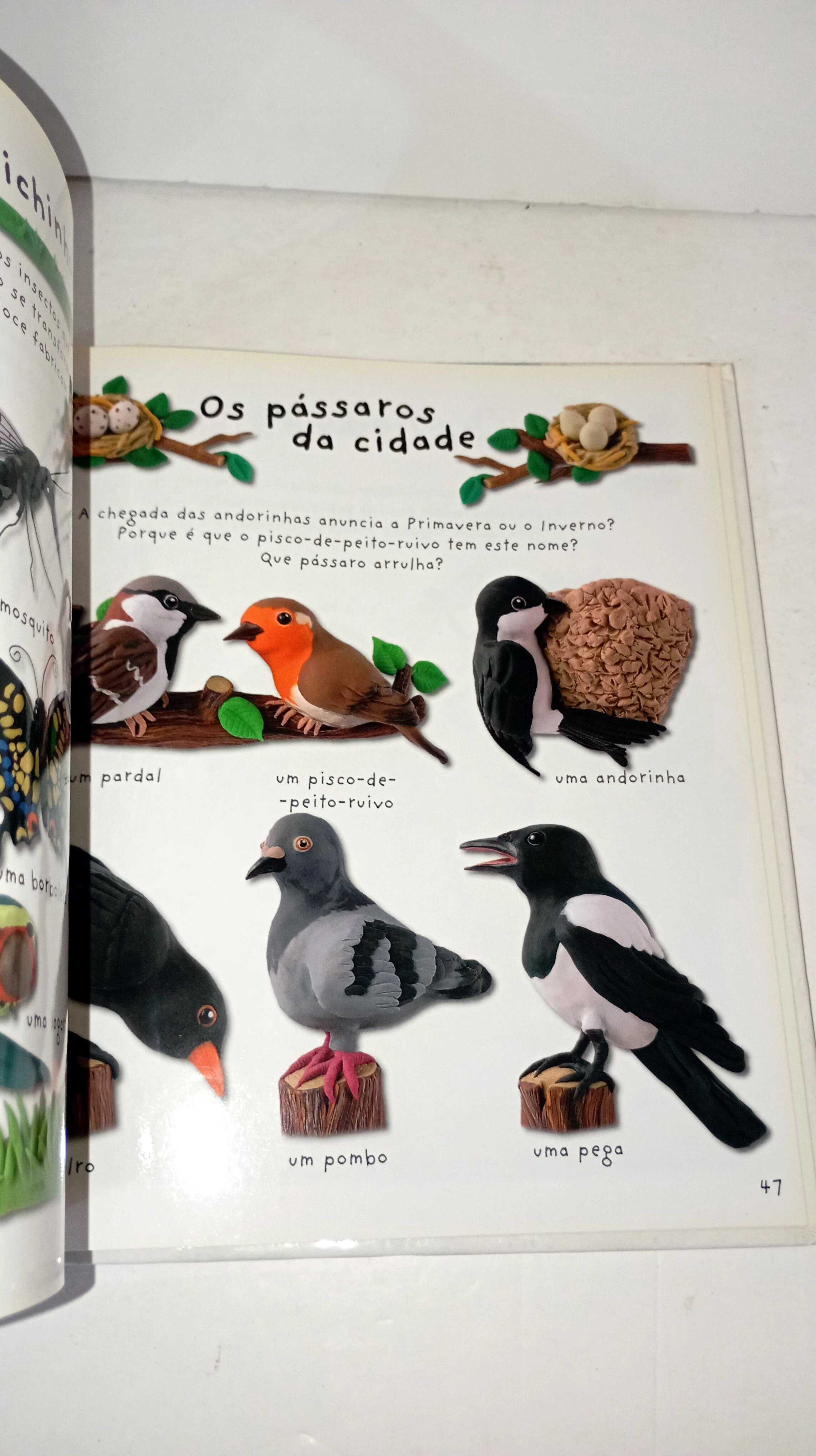 Imagens Animadas-  Palavras por Imagens