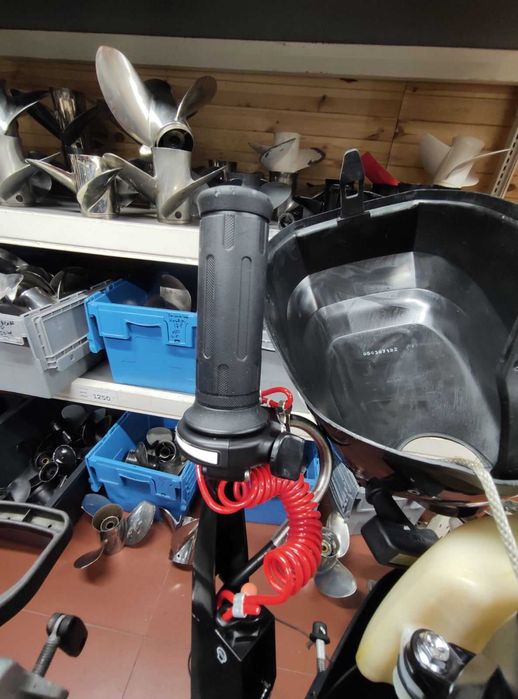 Лодочный мотор Suzuki DF2.5 S