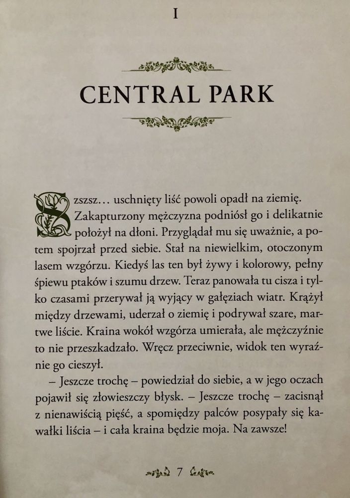 Central Park Kraina Koe - Joe Windy - Fordon