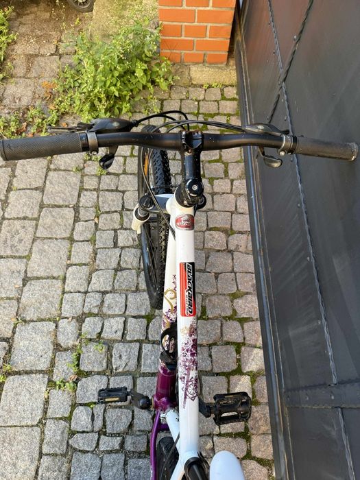 Rower MTB 26 Scott  alu