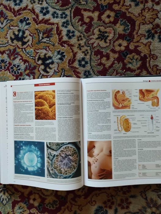 Grande Enciclopédia do Planeta