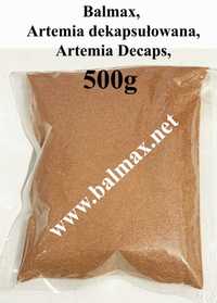 Balmax, Artemia dekapsułowana / Decaps / Artemia bezskorupkowa / 500g.
