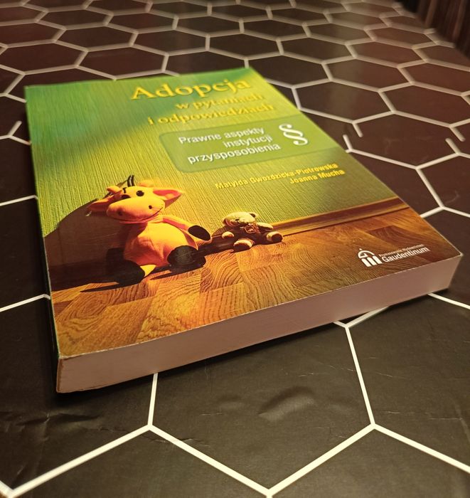 Adopcja w pytaniach i odpowiedziach